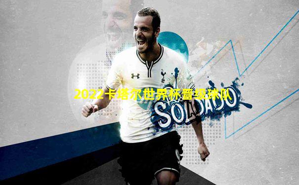 2022卡塔尔世界杯晋级球队
