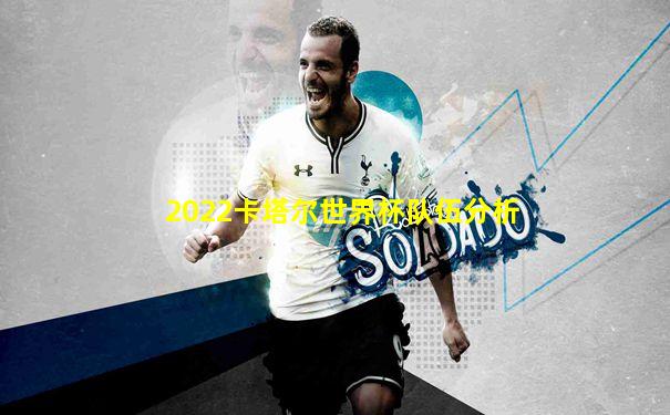 2022卡塔尔世界杯队伍分析