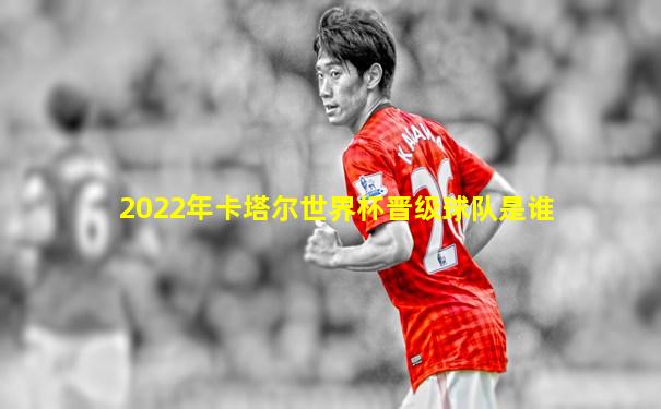 2022年卡塔尔世界杯晋级球队是谁