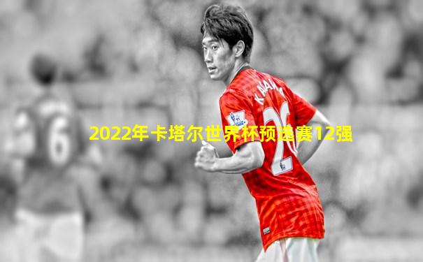2022年卡塔尔世界杯预选赛12强