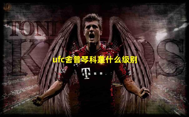 ufc舍普琴科是什么级别
