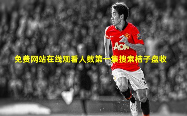 免费网站在线观看人数第一集搜索桔子盘收