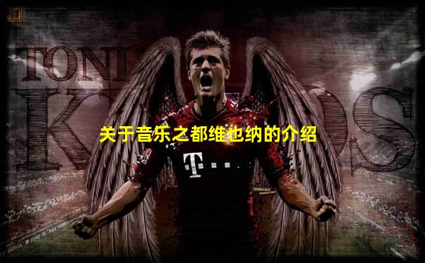 关于音乐之都维也纳的介绍