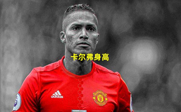 卡尔弗身高