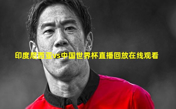 印度尼西亚vs中国世界杯直播回放在线观看