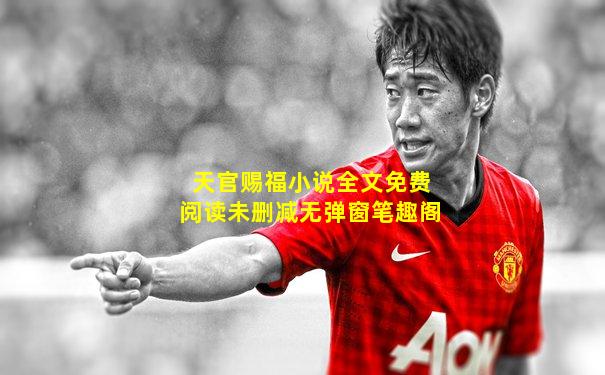 天官赐福小说全文免费阅读未删减无弹窗笔趣阁