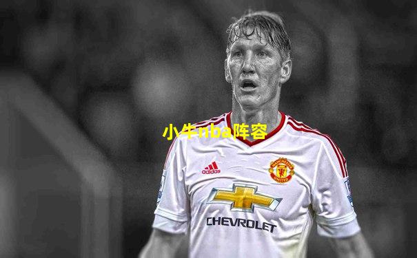 小牛nba阵容