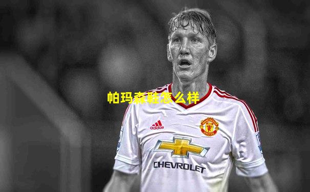 帕玛森鞋怎么样