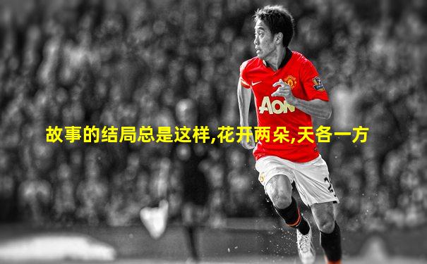 故事的结局总是这样,花开两朵,天各一方