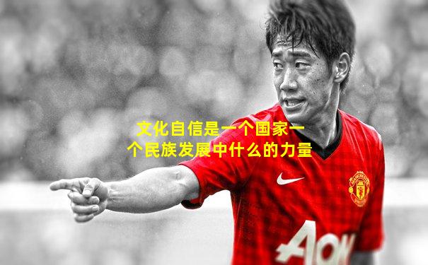 文化自信是一个国家一个民族发展中什么的力量