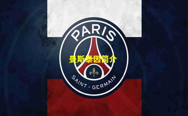 曼斯泰因简介