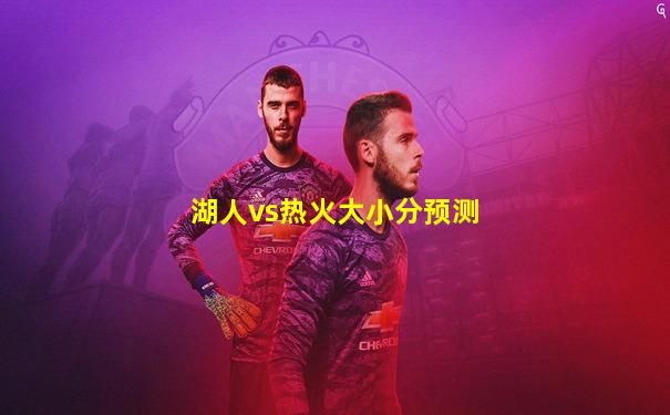 湖人vs热火大小分预测
