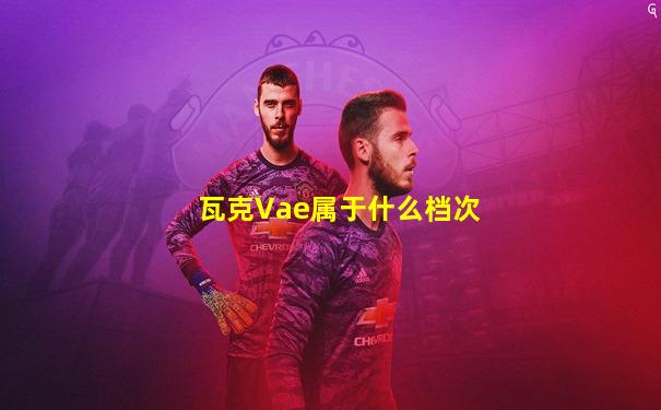 瓦克Vae属于什么档次