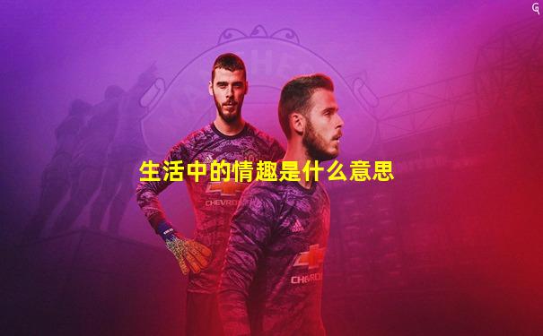 生活中的情趣是什么意思