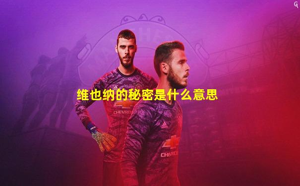 维也纳的秘密是什么意思