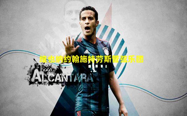 维也纳约翰施特劳斯管弦乐团