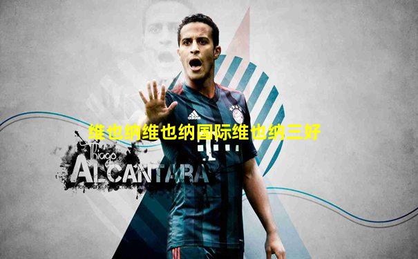维也纳维也纳国际维也纳三好