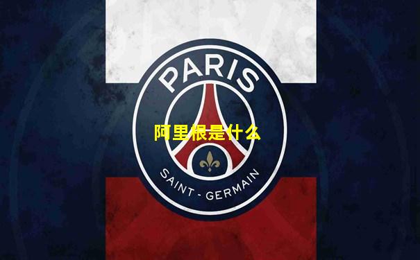 阿里根是什么