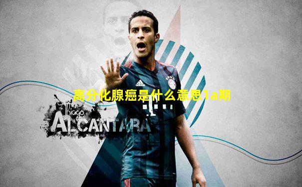 高分化腺癌是什么意思1a期